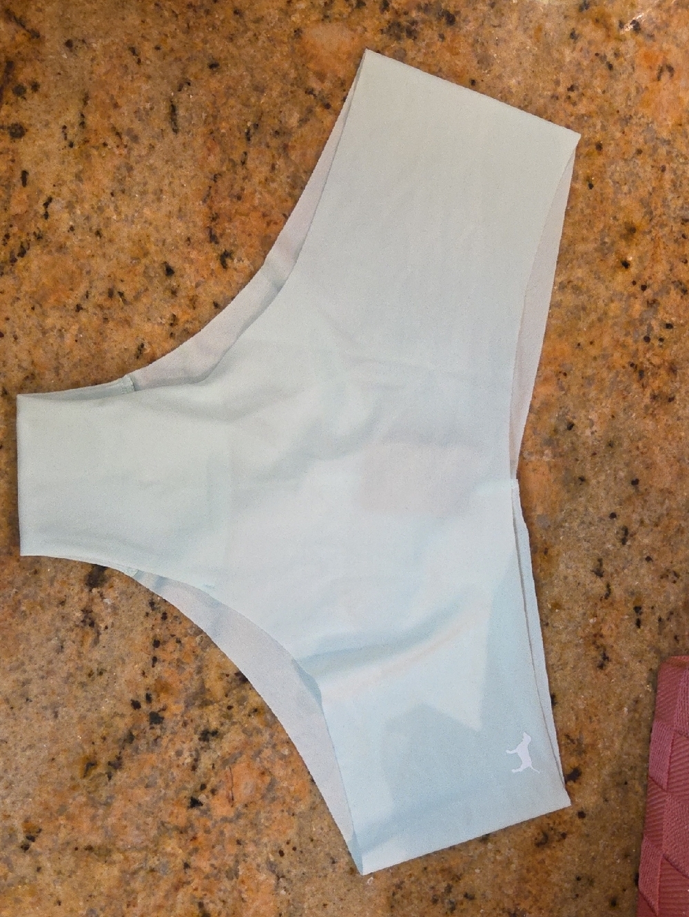 PINK Victoria's Secret Light Blue Seamless Hipster Panty